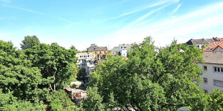 Ausblick